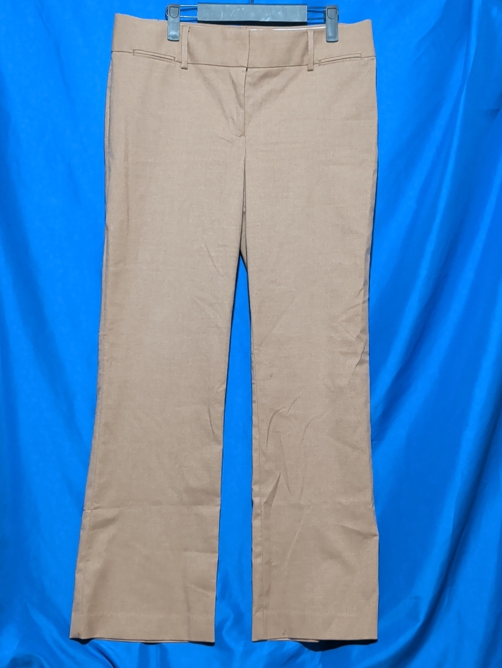 Anne Taylor Loft Marisa Trouser Classic Wide Leg in Tan